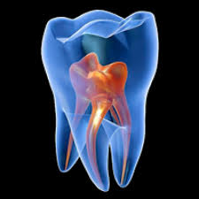 NP-202100-ODONTOLOGÍA-SEDE CENTRAL - CHIMBOTE-ENDODONCIA II-A