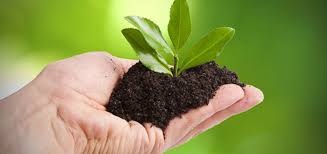 NP-202101-PSICOLOGÍA-SEDE CENTRAL - CHIMBOTE-RESPONSABILIDAD SOCIAL VII-K